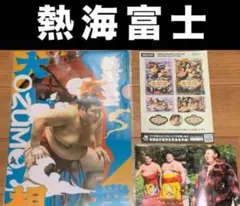 Item thumbnail for item 3e5a8f11-21da-4551-8542-801ccb6d8fd3