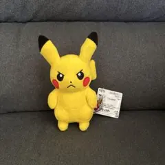 【最終値下げ】ポケットモンスター いろんなおかおぬいぐるみ ピカチュウ 30周年のサムネイル