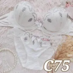 №1561【C75】メルティフリルアーチブラジャー＆フルバックショー ツ