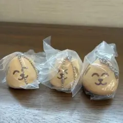 新品未開封 ぼくポチ マスコット ガチャガチャ カプセルトイ 3点セット