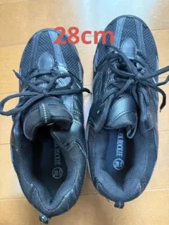 Item thumbnail for item 277d8e55-25fa-4b12-8d63-ce21cfe9c1f5