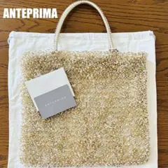 極美品✨ANTEPRIMA アンテプリマ ワイヤー グリッターバッグ 付属品完備