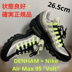 DENHAM × Nike Air Max 95 