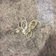 Lightning 充電ケーブル 3本セット