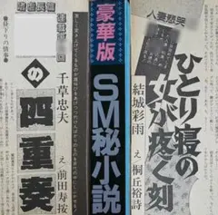 絶版】マニアH20年11月 結城彩雨 佳奈淳 前田寿按 楡畑雄二 椋陽児