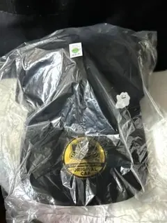 ぽこあ メタモン キャップ　メタモンキャップ ぽこあポケモン エディオン