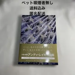 美品〈幸運を呼ぶアンディ・レイキ 