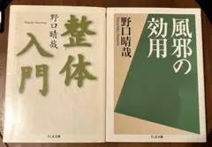 2026年最新】野口晴哉の人気アイテム - メルカリ