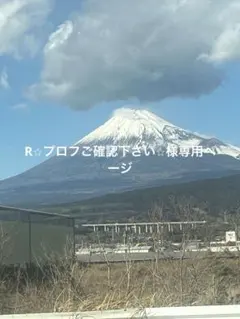 R⭐︎プロフご確認下さい⭐︎様専用ページ