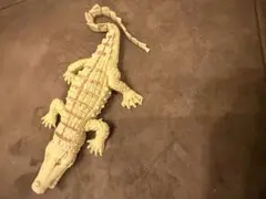 クロコダイルアンドコ　モレレットワニ