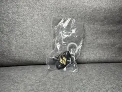 仮面ライダー　めじるしアクセサリー　龍騎