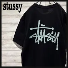 【即完売モデル】ステューシー☆バックビックロゴ　人気デザイン　半袖Ｔシャツのサムネイル