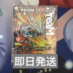 2026年最新】剣轟の団長ドギラゴン王道の人気アイテム - メルカリ