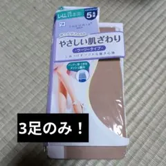 Item thumbnail for item e97da4e2-4b6f-4dc1-a704-1f6897f55acc