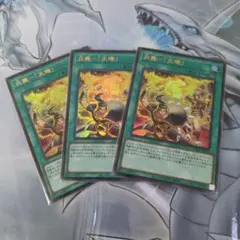 2026年最新】炎舞-「天キ」の人気アイテム - メルカリ