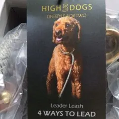 Item thumbnail for item b8cd51e7-cbdc-4bb2-9700-e1cc7bc4e79f