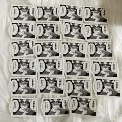 ○○の主役は我々だ! ショッピ 魔主役 wrwrd フレークシール