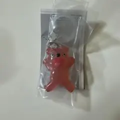 【匿名配送】ノンタン めじるしアクセサリー くまさん