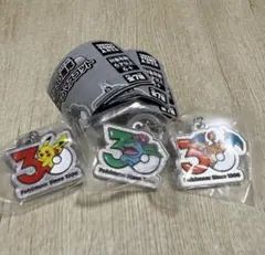 ポケモン 30周年記念マスコット 3個セット