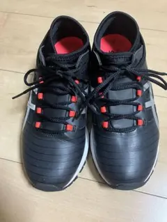 Item thumbnail for item de733514-2895-4c75-a8fc-72beb6119f7d