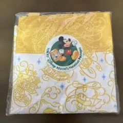 【 ディズニー】バケーションパッケージ オリジナルエコバッグ　ミッキー
