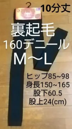 【匿名郵送】 レギンス 裏起毛 あったかレギンス 160デニール M~L