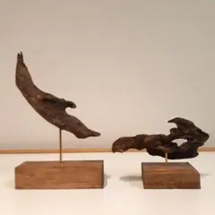 流木オブジェセット