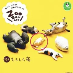 2026年最新】もうしら寝の人気アイテム - メルカリ