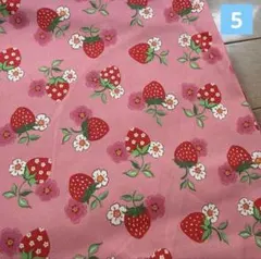 Item thumbnail for item 49afe59f-c026-4ac7-b7e5-c6a29fe26b13