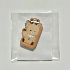 riizeソンチャン ランダムトイ マグネットアクリルチャーム