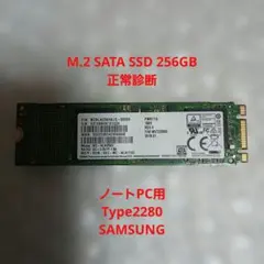SAMSUNG M.2 SATA SSD 256GB Type2280 正常診断