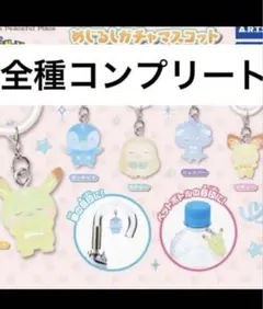 ポケピース めじるしガチャマスコット コンプリート ポケモンめじるしアクセサリー
