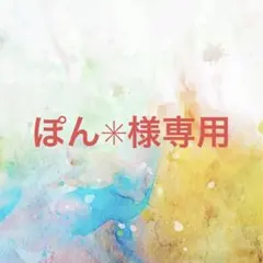 ぽん✳︎様確認専用ページ【取り置き中】
