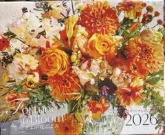 Item thumbnail for item 0a9389c1-0979-4d12-8f88-65dfba7c0f71