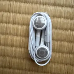 Apple 純正 イヤホン 丸型 3.5mmプラグ iPod iPhone