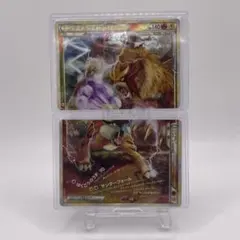 2026年最新】エンテイ＆ライコウ legendの人気アイテム - メルカリ