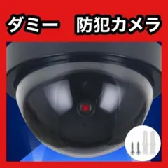 Item thumbnail for item 31a1282b-6ebe-414a-a4ce-bf0cbc969925