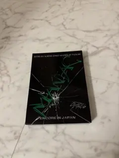 STRAY KIDS 2ND WORLD TOUR MANIAC