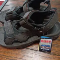 Item thumbnail for item 7041375a-5e01-4d6c-8182-d96638349d08