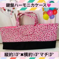 鍵盤ハーモニカケース♡のサムネイル