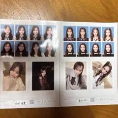 田仲埜愛 夏川メガン seju 証明写真風フォトセット