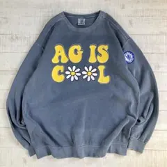 コンフォートカラーズ スウェット プリント　XL ブルーグレー