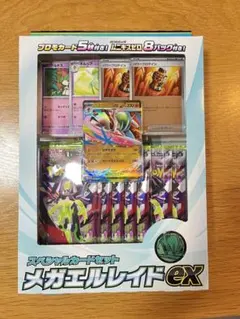 メガレイドex スペシャルカードセット