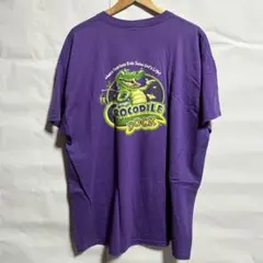 Fruit of the Loom バンダナ柄 Tシャツ 4枚セットお早め | Mercari