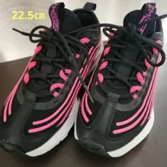 ☆超美品☆Nike Air Max 950 レディーススニーカー 22.5㎝