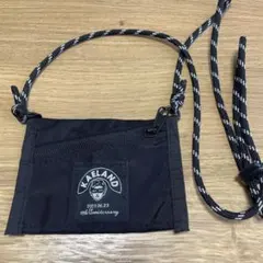 Item thumbnail for item d5e5da57-15ea-4628-9f5a-b06484f41b66