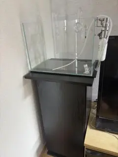 2025年最新】ada 水槽セットの人気アイテム - メルカリ