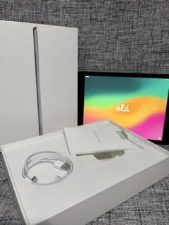 中古品 iPad 第6世代 32GB Wi-Fi仕様 シルバー