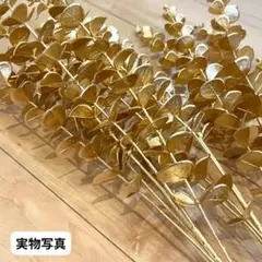 ヴィンテージリーフ インテリア 韓国 ユーカリ　イチョウ　北欧 アンティーク