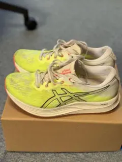 ASICS EVORIDE SPEED イエロー